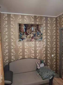 1-к кв. Брянская область, Жуковка пер. Первомайский, 19 (34.9 м)