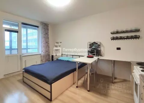 Студия Ленинградская область, Мурино Всеволожский район, бул. ...