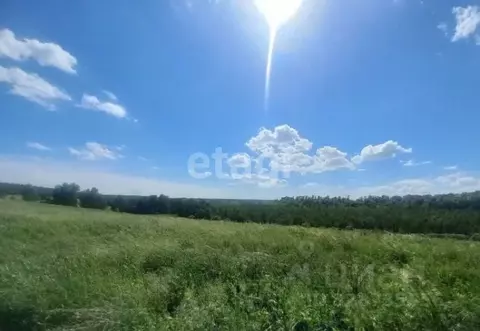 Участок в Алтайский край, Первомайский район, с. Санниково ул. ...