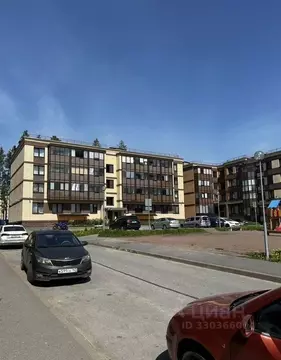 Студия Ленинградская область, Сертолово Всеволожский район, ул. ...