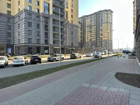 Помещение свободного назначения в Санкт-Петербург ул. Дыбенко, 2 (151 ...
