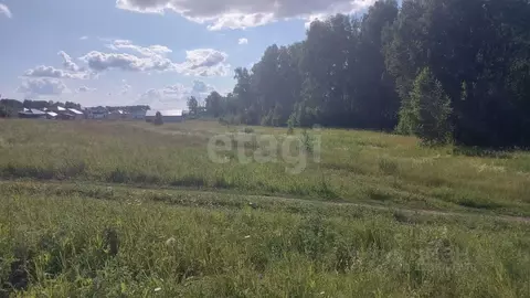 Участок в Алтайский край, Первомайский район, с. Фирсово, Полесье мкр  ...