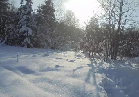Участок в Московская область, Дмитровский муниципальный округ, д. ...