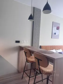 Студия Санкт-Петербург просп. Энергетиков, 8к2 (25.0 м)