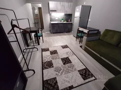 Студия Московская область, Солнечногорск городской округ, Голубое пгт ...