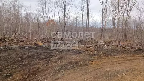 Участок в Приморский край, Артем  (11.0 сот.)