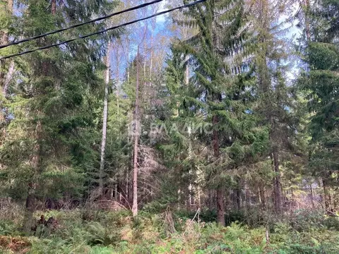 Участок в Ленинградская область, Ломоносовский район, Лопухинское ...