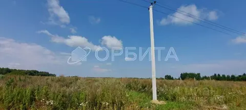 Участок в Тюменская область, Тюменский район, с. Борки  (8.0 сот.)