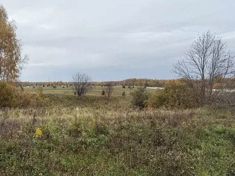 Участок в Ярославская область, Переславль-Залесский муниципальный ...