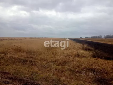 Участок в Брянская область, Жирятинское с/пос, с. Савлуково ул. ...