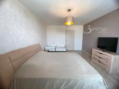 1-к кв. Нижегородская область, Нижний Новгород ул. Родионова, 25 (42.5 ...