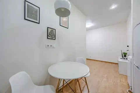 Студия Санкт-Петербург Синопская наб., 36 (29.0 м)