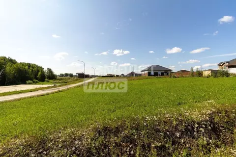 Участок в Тюменская область, Тюменский район, Онегин кп  (8.0 сот.)