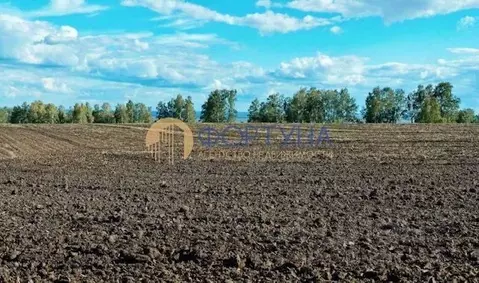 Участок в Белгородская область, Новооскольский муниципальный округ, с. ...