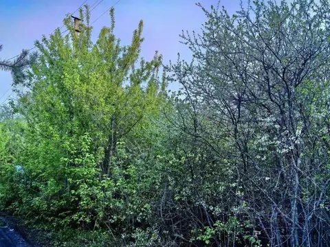 Участок в Самарская область, Красный Яр с/пос, пос. Водный ул. ...