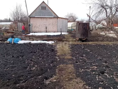 Участок в Свердловская область, Кушва Металлург-4 садовое дачное ...