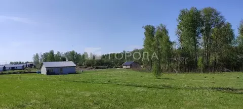 Участок в Алтайский край, Первомайский район, с. Фирсово Палитра жилой ...