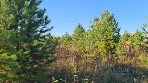 Участок в Свердловская область, Алапаевск ул. Янтарная (8.0 сот.)