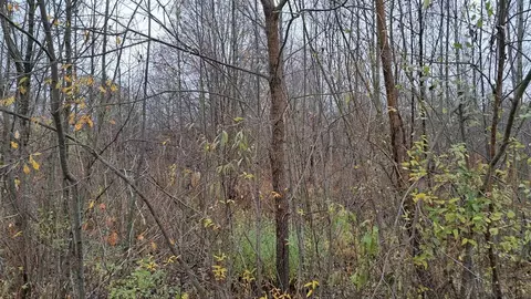 Участок в Московская область, Дубна наб. Дубненская (29.97 сот.)