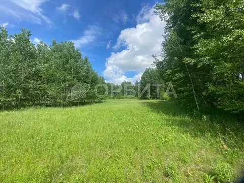 Участок в Тюменская область, Нижнетавдинский муниципальный округ, д. ...