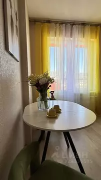 1-к кв. Ленинградская область, Мурино Всеволожский район, ул. Шоссе в ...