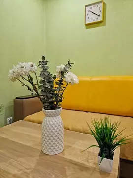 1-к кв. Вологодская область, Вологда ул. Гагарина, 70 (31.0 м)