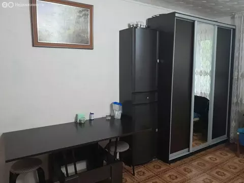 Квартира-студия: Адлер, улица Голубые Дали, 64 (23 м)