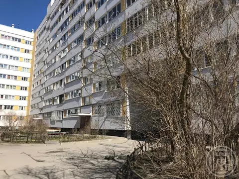 2-к кв. Санкт-Петербург Северный просп., 6К1 (49.5 м)