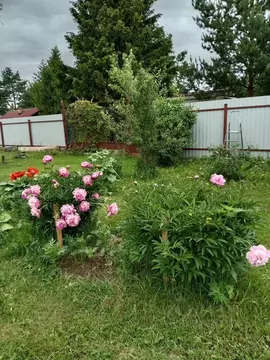 Дом в Московская область, Можайский муниципальный округ, Воронцово СНТ ...