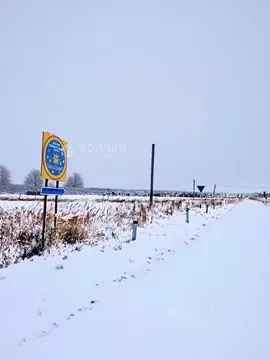 Участок в Чувашия, Цивильск Цивильский район, Восточная ул. (8.0 сот.)