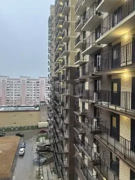 1-к кв. Ярославская область, Ярославль ул. Строителей, 18 (31.0 м)