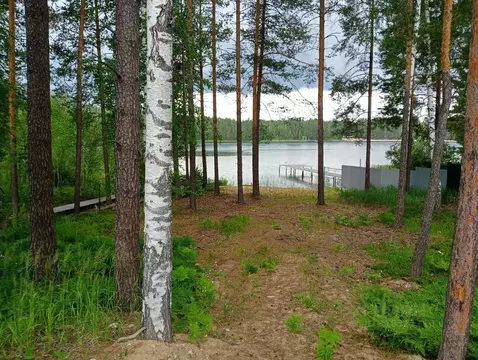 Помещение свободного назначения в Марий Эл, Медведевский район, ...