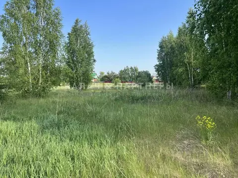 Участок в Свердловская область, Каменский муниципальный округ, с. ...