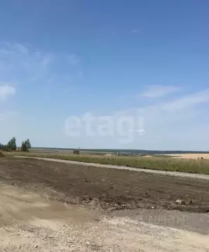 Участок в Мордовия, Лямбирский район, Берсеневское с/пос, Альтерра кп  ...