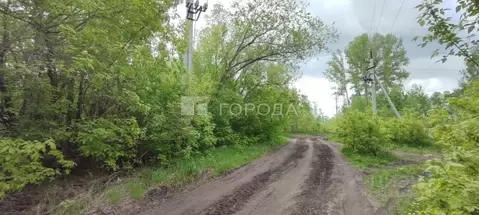 Участок в Алтайский край, Барнаул Спутник мкр,  (7.1 сот.)