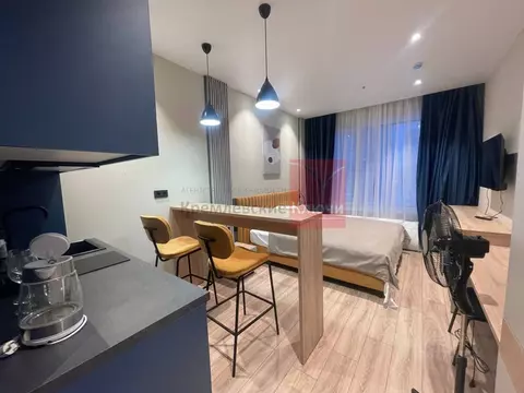 Студия Санкт-Петербург просп. Энергетиков, 8к2 (24.0 м)