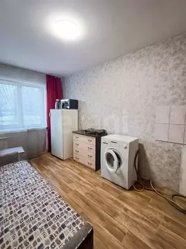 Студия Красноярский край, Красноярск ул. Крупской, 18 (14.0 м)