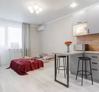 Студия Ростовская область, Ростов-на-Дону Северный мкр, ул. ...