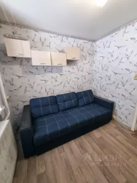 Студия Алтайский край, Барнаул ул. 1-я Западная, 17А (13.0 м)