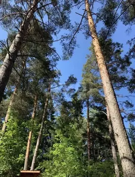 Дом в Ленинградская область, Приозерский район, Ларионовское с/пос, ...