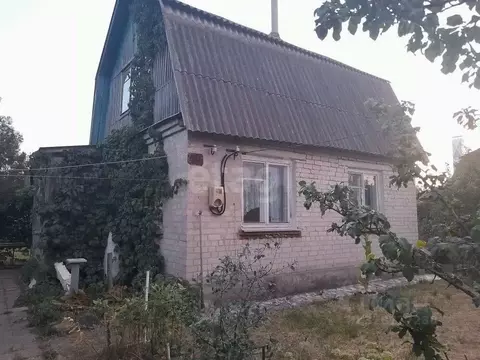 Дом в Воронежская область, Воронеж Заря СНТ, ул. 13-я, 236 (66 м)