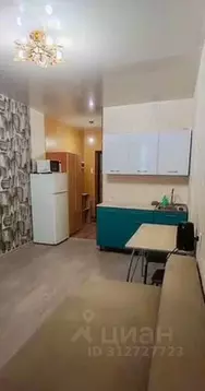 Студия Амурская область, Благовещенск Октябрьская ул., 261 (21.0 м)