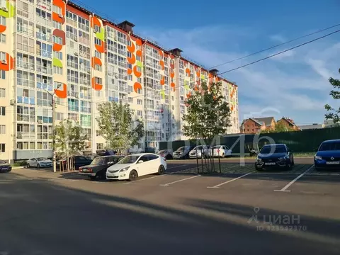 1-к кв. Курская область, Курск Рябиновая ул., 26А (44.1 м)