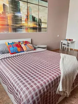 1-к кв. Амурская область, Благовещенск ул. Шимановского, 46/1 (45.0 м)