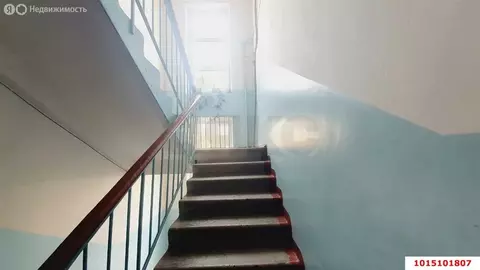 1-комнатная квартира: Краснодар, Ростовское шоссе, 6 (33 м)