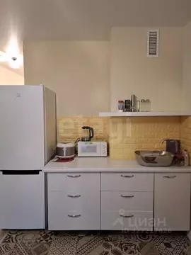 Студия Москва просп. Прокшинский, 12 (26.0 м)