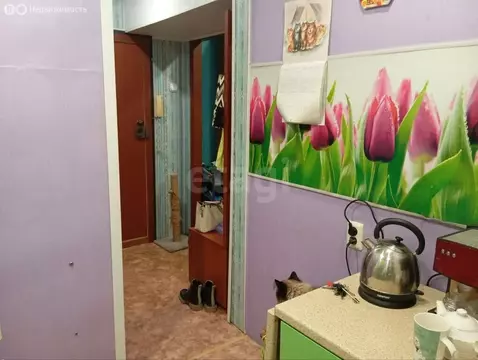 Квартира-студия: Ярославль, Северный жилой район, улица Елены ...