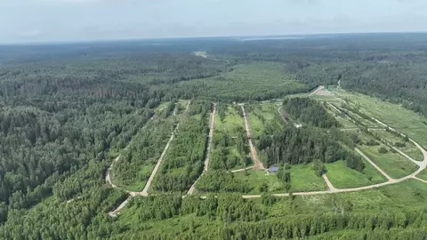 Участок в Ленинградская область, Приозерский район, Раздольевское ...