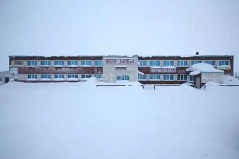 Помещение свободного назначения в Ямало-Ненецкий АО, Новый Уренгой ул. ...