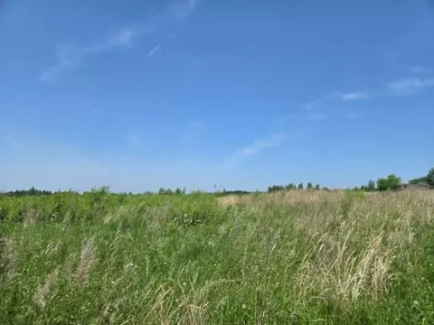 Участок в Хабаровский край, Хабаровский район, с. Краснореченское пер. ...